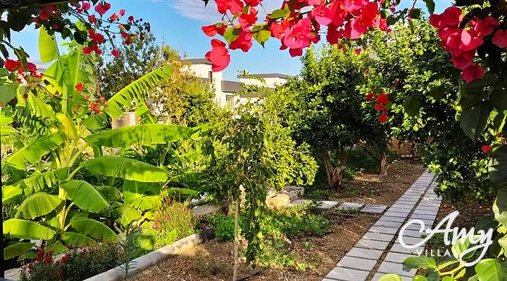 Villa Citrus Gardens - Alsancak, North Cyprus