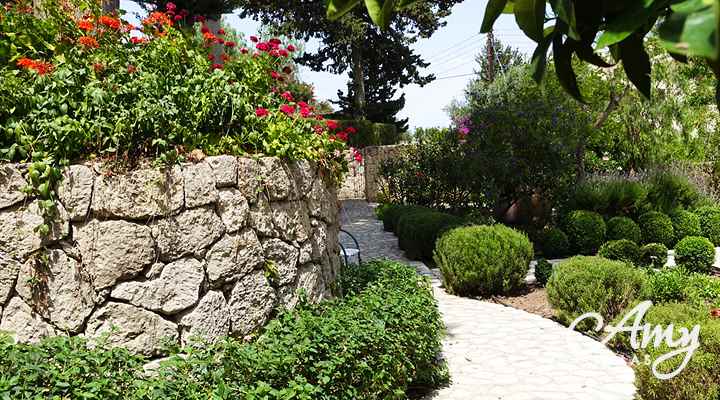 Villa Mandevilla - Karmi, North Cyprus